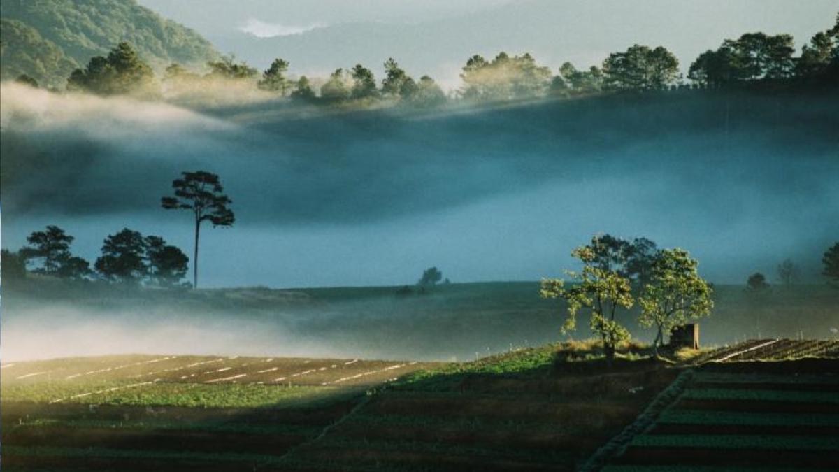 IPsecVPNを組めなかった話